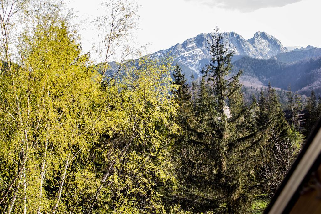 Pod Reglami * Zakopane